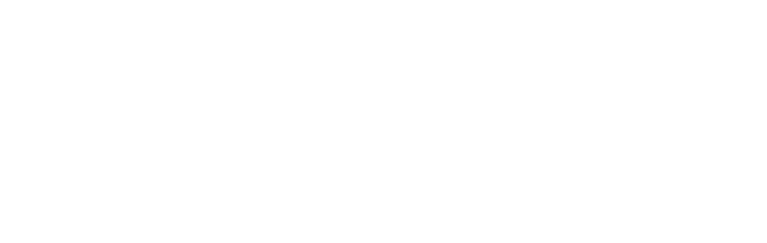 Finu Logo